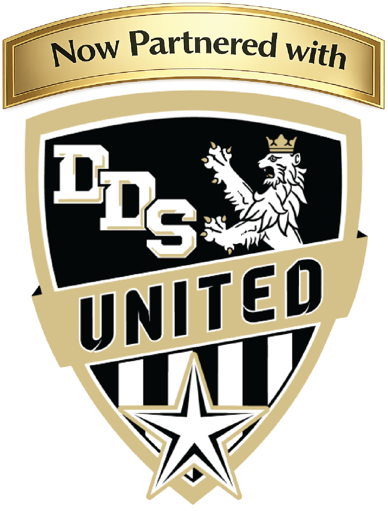 Now Partnered With Icon